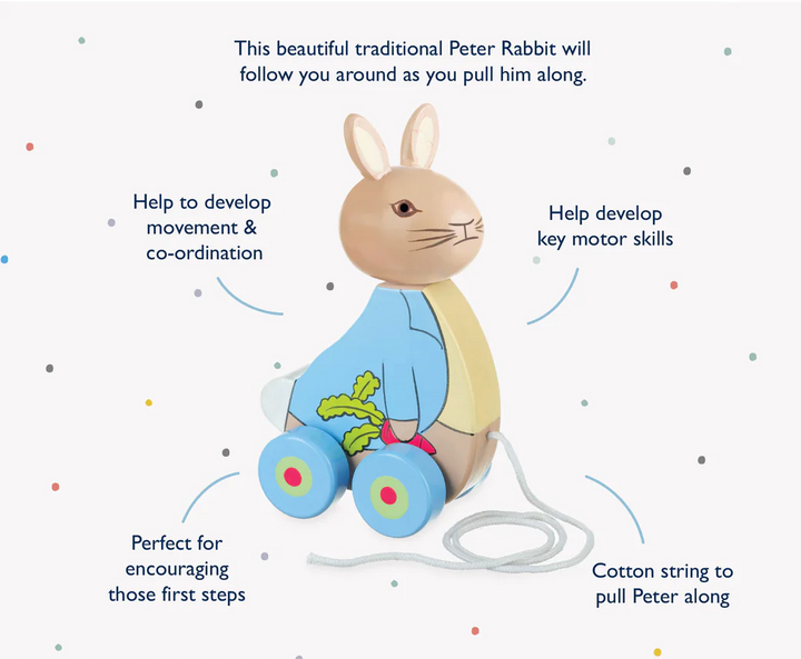 Orange Tree Peter Rabbit Pull Along