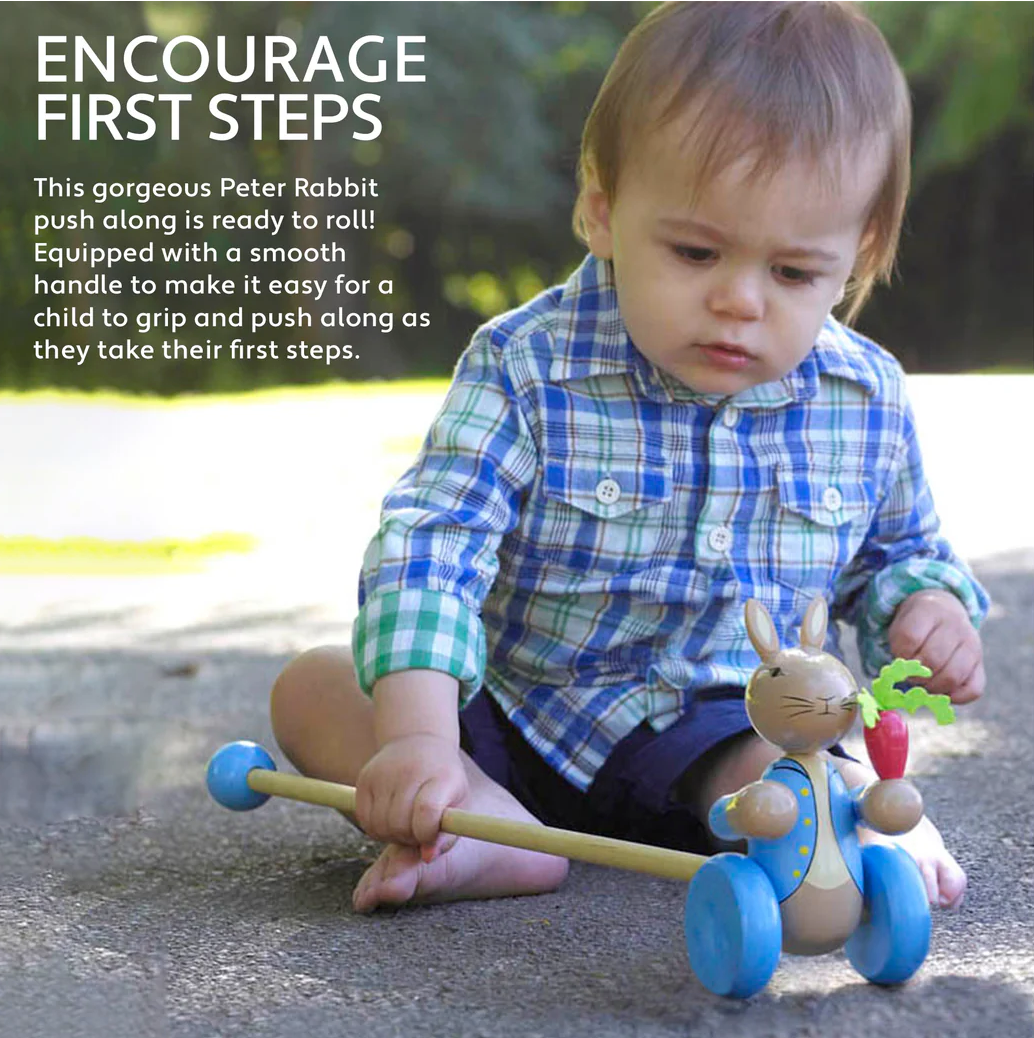 Orange Tree Peter Rabbit Push Along