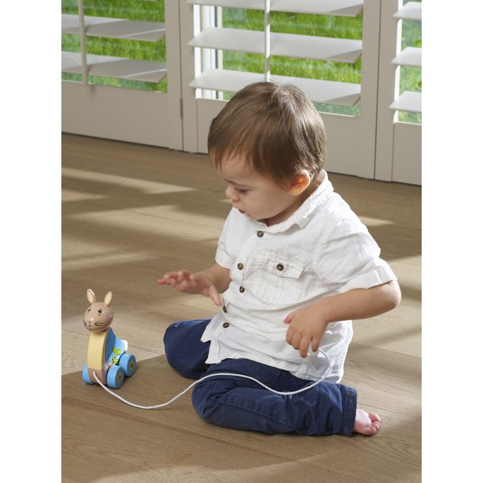 Orange Tree Peter Rabbit Pull Along