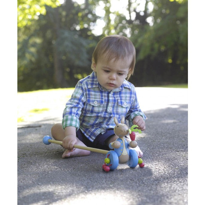 Orange Tree Peter Rabbit Push Along