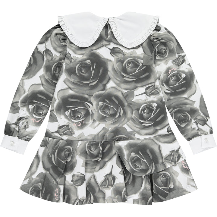 AW22 A Dee Girls Trudy Rose Print Dress